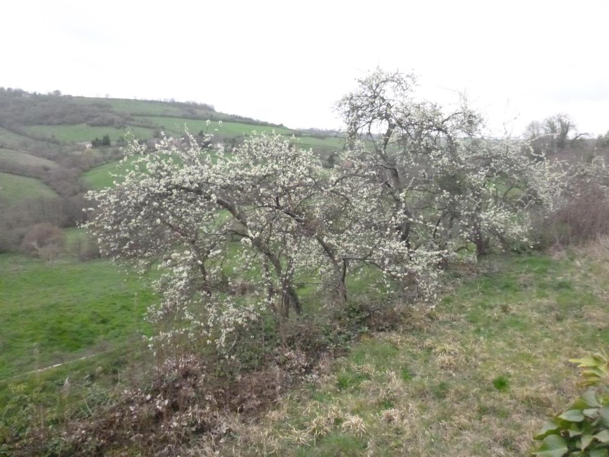 Montembœuf La Maison Des Fleurs المظهر الخارجي الصورة