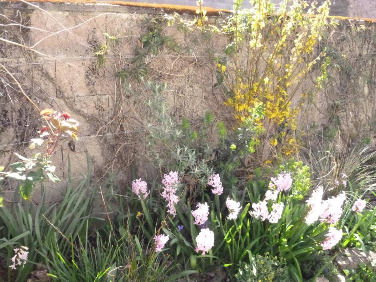 Montembœuf La Maison Des Fleurs المظهر الخارجي الصورة