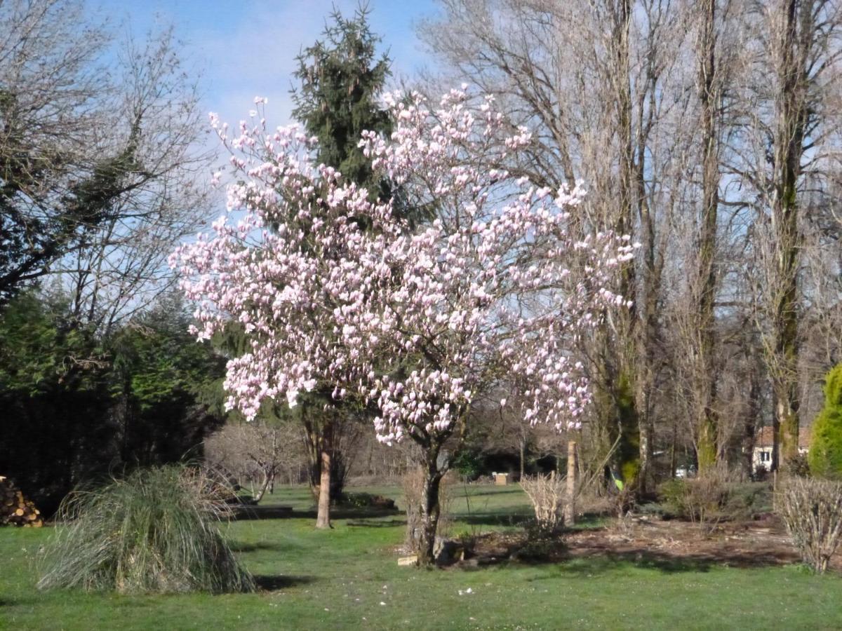 Montembœuf La Maison Des Fleurs المظهر الخارجي الصورة